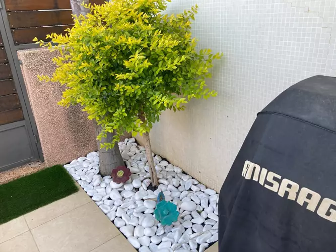 עיצוב גינה בבית פרטי 4